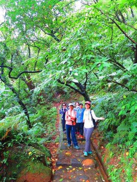 搭著捷運去旅行：內湖白鷺鷥山步道570168