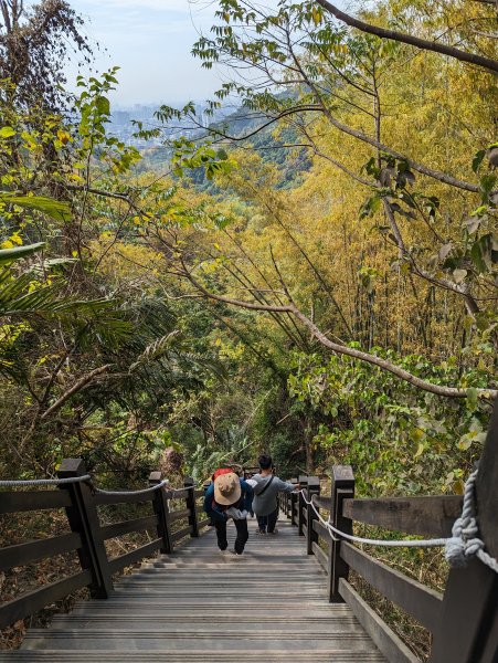 2023-02-04 大坑9、10號步道2792390