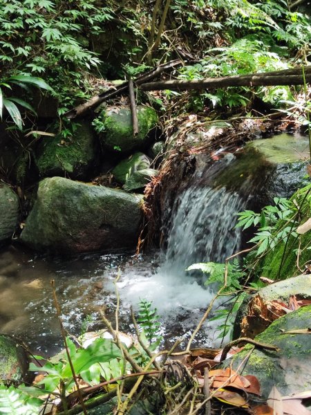 淡蘭北2+1逆走二刷2772765