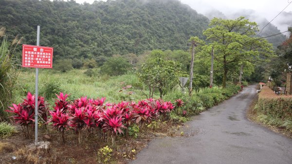 冷埤登山健行趣2447543