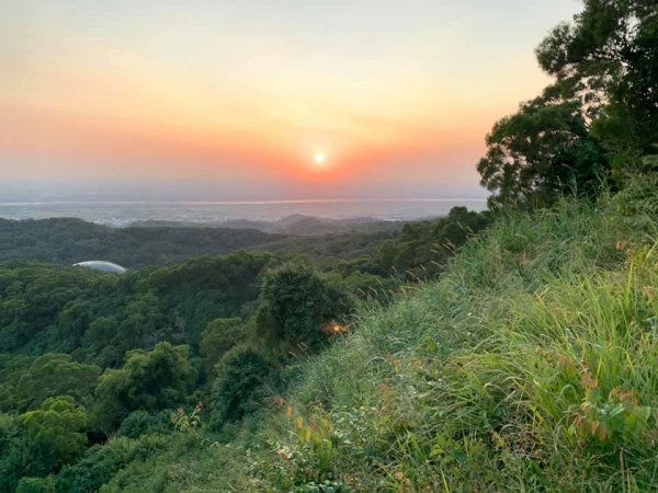 王田山與大肚山707853