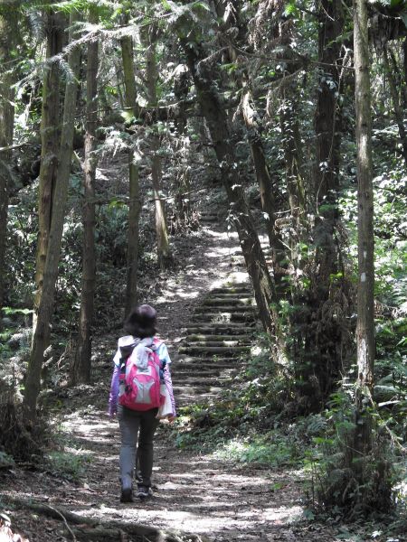 20180609望美山-瓊山(獵人古道)348742