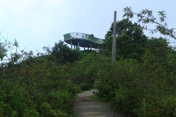 雲林．古坑雲嶺之丘&杉林步道2023/07/152238593