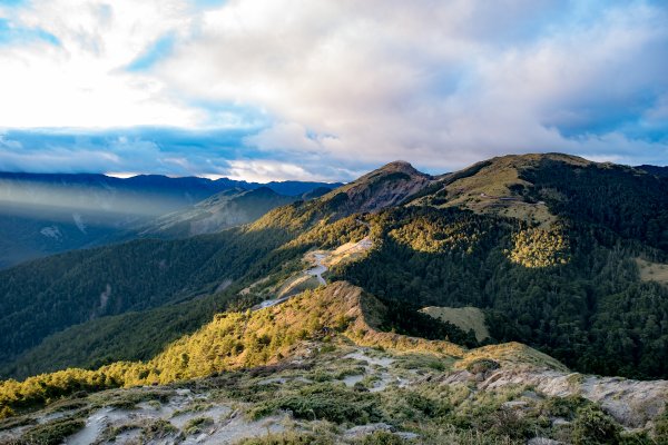 合歡北峰-圓柏的視野466846