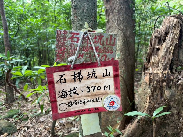 新北 瑞芳 禮樂-保羅尖-雙鬼小霸尖-石梯坑山-半屏瀑布-小錐麓-水管隧道-香巴拉隧道-半屏溪-禮樂2955494