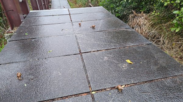 台東鯉魚山3017912