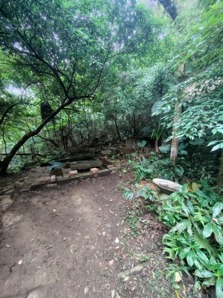 鳳鳴古道 鳳鳴山 南隘勇（南長城）古道 三湖山 八達嶺（龍骨）古道 綠色古道 延平古道2975323