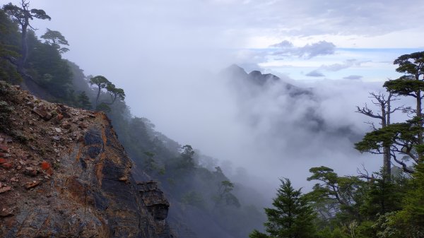 武陵四秀成兩袖(一秀加一宿)1142487