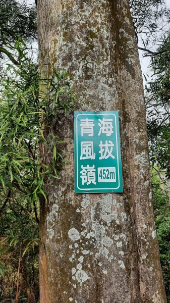 《台中》三崁頂健康步道(北坑123步道)202103061297673