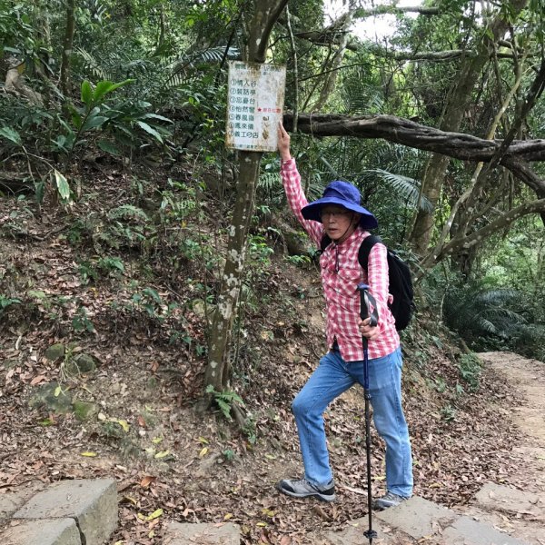 【苗栗-臺灣百大必訪步道】鳴鳳古道1348368