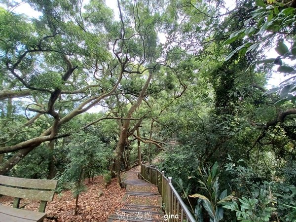 【台中潭子】爬山野餐趣。 新田登山步道x聚興山2899217