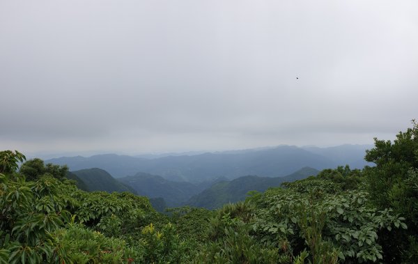 小百岳NO.22-東眼山自導式步道1024254