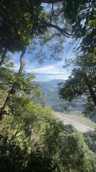 苗栗卓蘭-大克山2626457