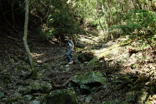 苗栗泰安 | 雪見‧初探北坑溪古道2700069