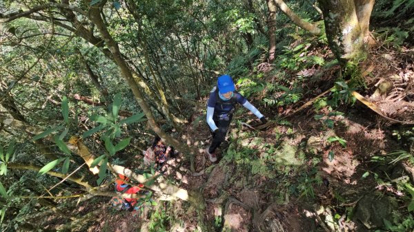 烏桶縱走(烏來山→大桶山)忠治出全紀錄2915226