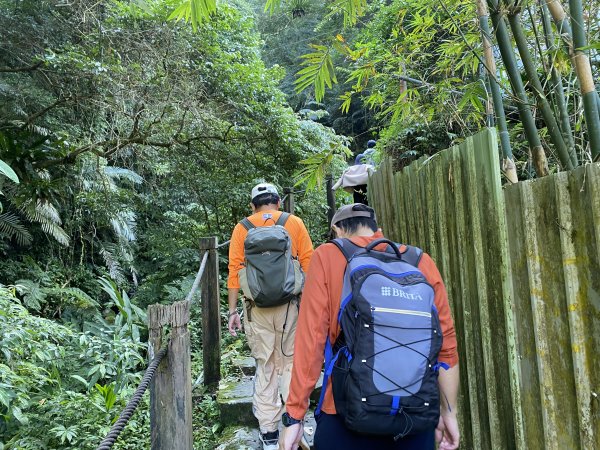 《銀河洞越嶺到貓空｜冬日健行 4 5 公里秘境步道｜親子也適合的台北近郊路線》2971022