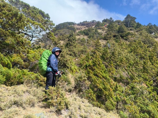 20240320 馬博8天縱走~第五天，馬里亞文路山，馬利加南山2471213