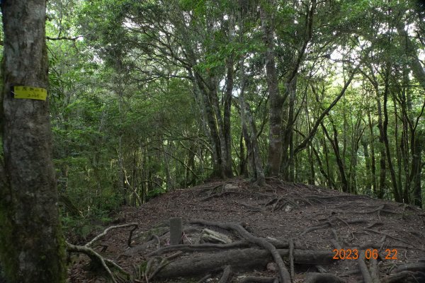 臺東 海瑞 戒茂斯山2193169