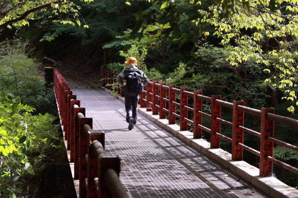 熊野参詣道小辺路：山と村をつなぐ古の道2923370