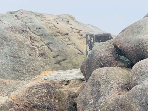 1131225新山夢湖2676521