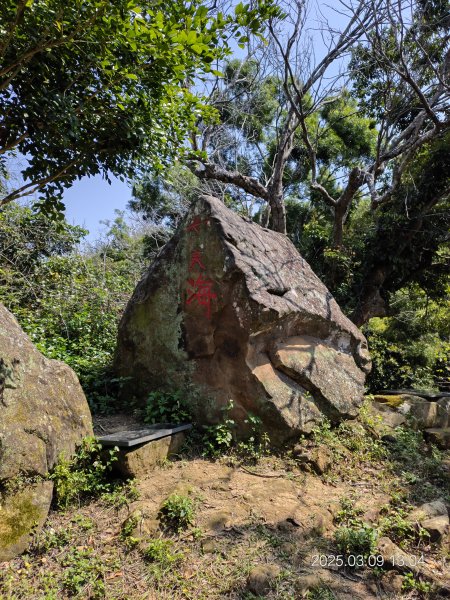 20250309 南觀音山步道 & 青春嶺2731485
