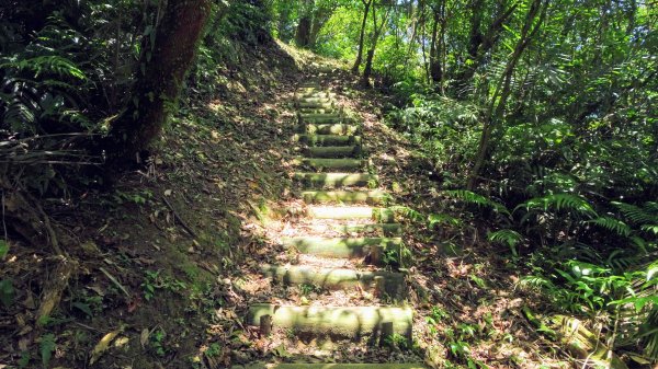 淡蘭古道中路,柑腳-十分1366974