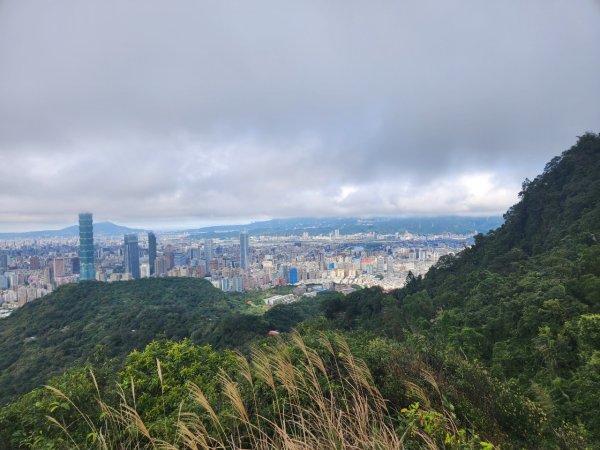 20240204 景美仙跡岩縱走九五峰，四獸山2419598