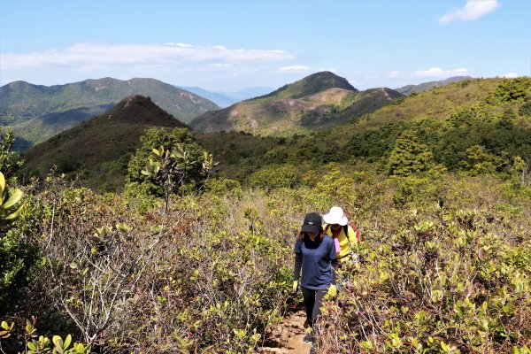 HK - 長山、太墩1458001