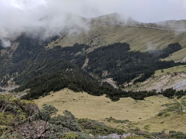 登合歡東峰賞高山杜鵑137126