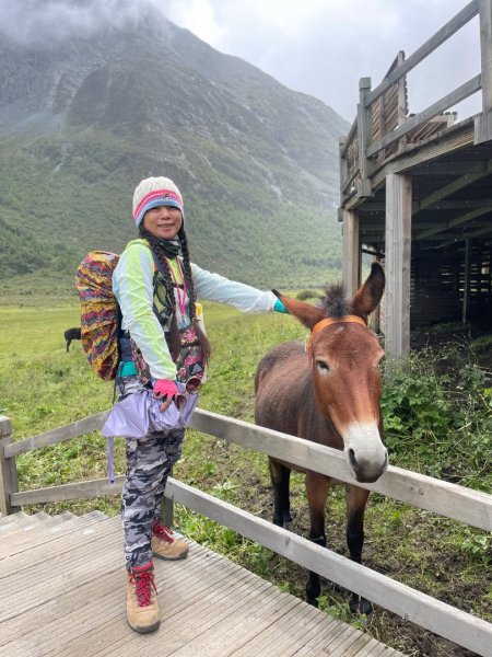 西藏♥️可愛動物🐎人物寫真/拉薩旅拍/美食2902946