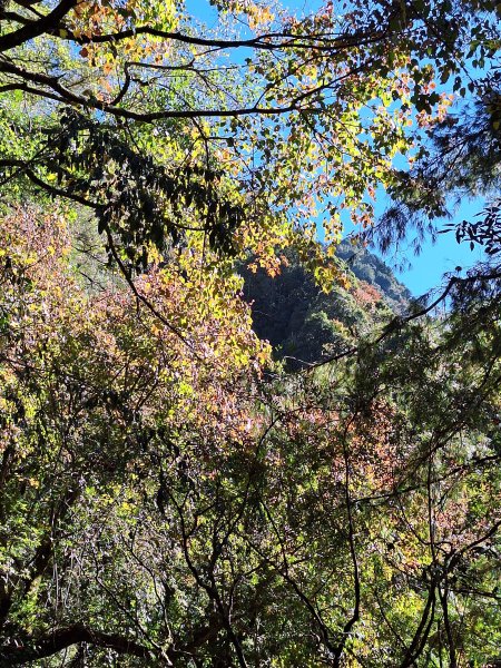 石山引水道202512112959558