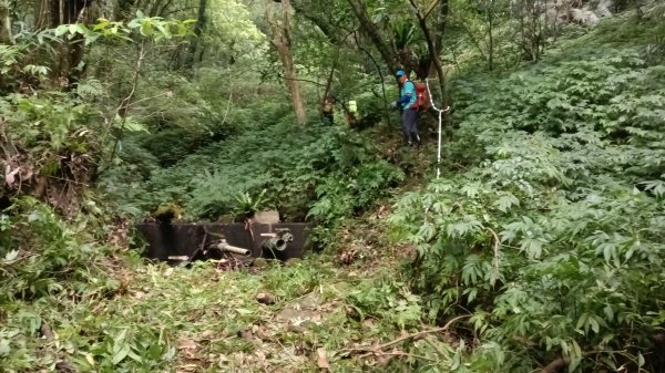 雙溪區烏山古道西線-大湖尾古道支線-大湖尾古道O型3098463