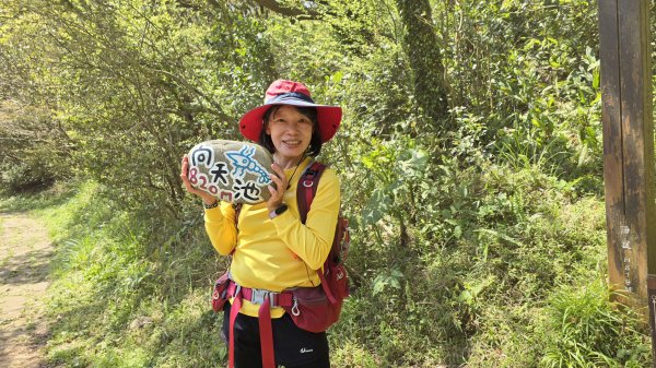 2025竹子湖海芋季美不勝收，最受歡迎的國家公園陽明山國家公園，親子皆宜，適合各式玩家2747609