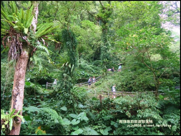 烏來內洞國家森林遊樂區觀瀑步道618570