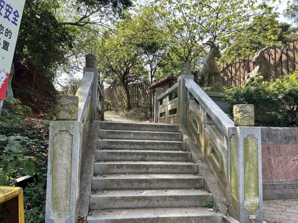 羊稠森林步道3020910