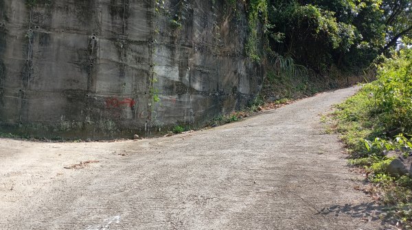 台中和平區大茅埔山3129194