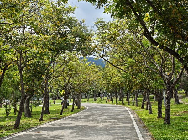 [山海圳_原鄉之路_第一段] 2026_0801 大埔情人公園碼頭⮕新美部落3108688
