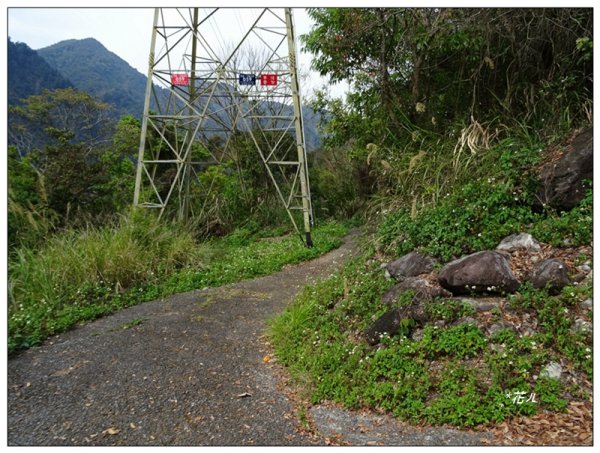 裡冷山、裡冷山南峰 ( 台中、和平 )1645809