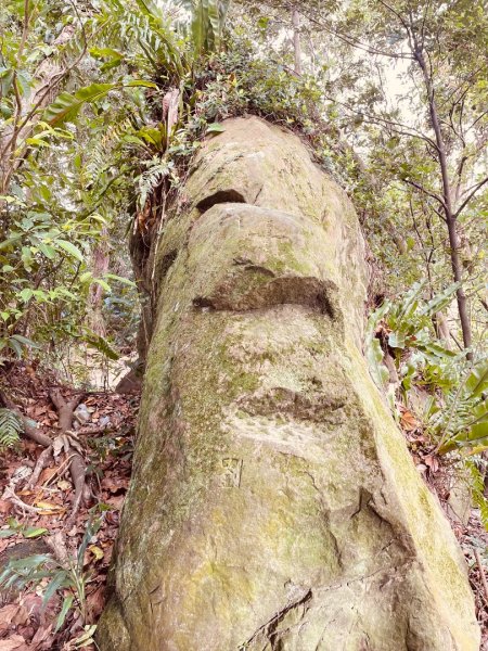 銀河洞越嶺貓空-新高麗坑山-銀獅縱走-猴山岳群峰+三條魚縱走2955918