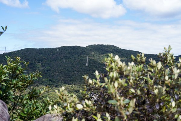 金面山 剪刀石2603682