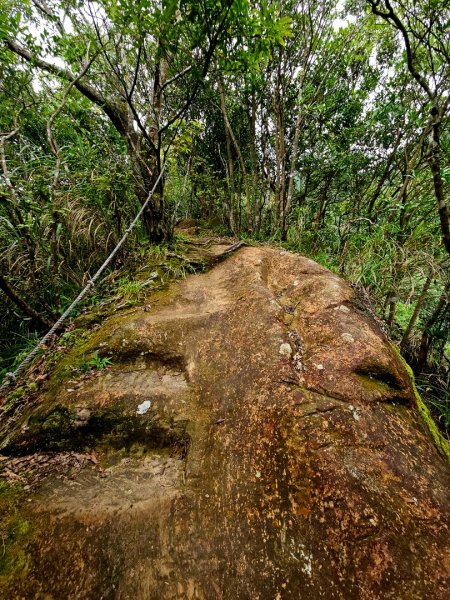 (五分山系)菁桐煤礦-2025微笑山線大縱走尋寶集章任務2855329
