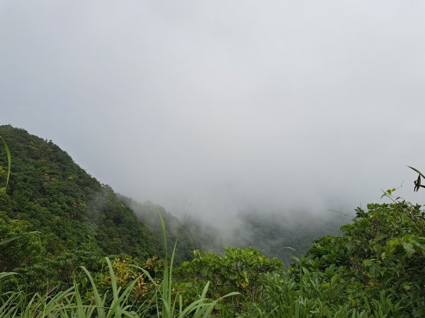 新北桃源谷步道（大溪線）3106363