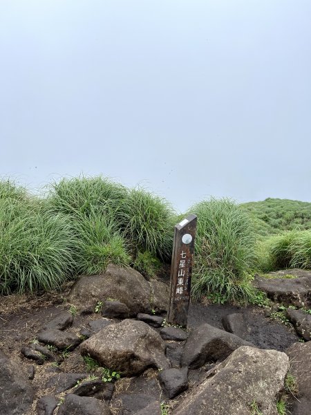 【臺北大縱走第三段】小油坑→風櫃口 之 天雨路滑小孩還特別多2178608