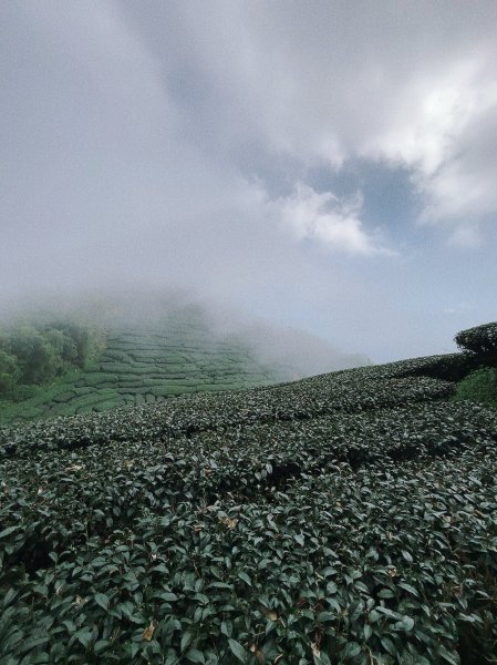20250928雲嘉五連峰小O2897362