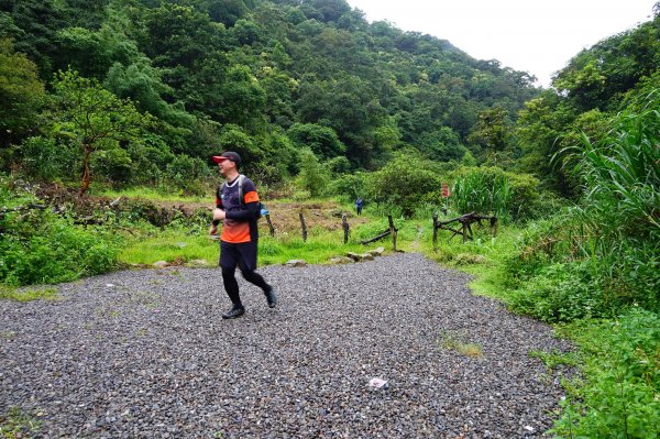 淡蘭古道中路O型988533
