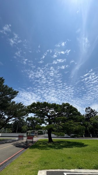 綠衫林公園2800891