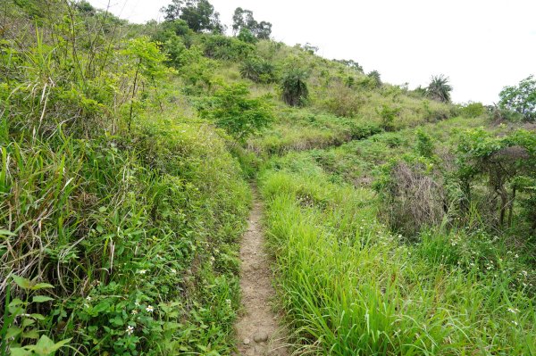 臺中 龍井 竹坑山2767044