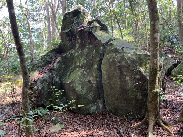 【溫泉步道小旅行】上島山—鬼面之刃的大石