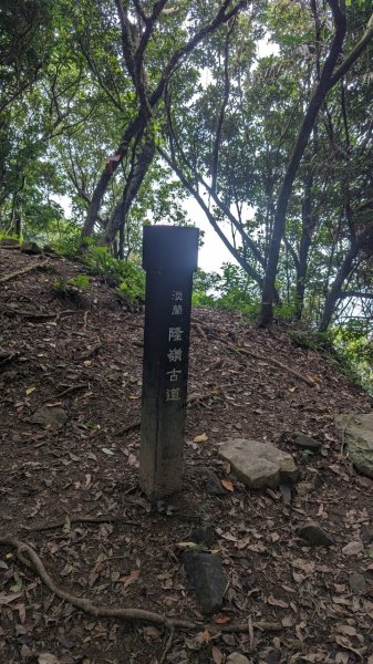 113.06.16白沙丘山-舊草嶺隧道-隆嶺古道之旅2530550