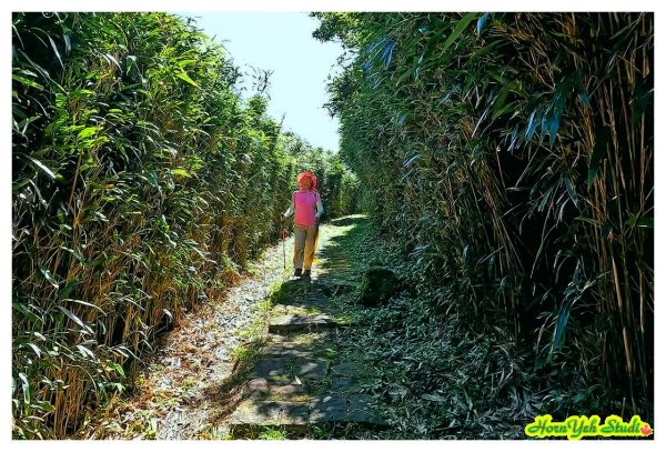 北環段七星山人車分道 七星瀑布 夢幻湖 下冷水坑泡腳趣2864583